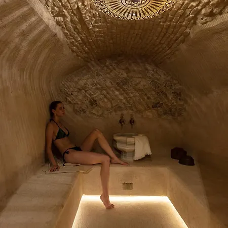 Villa 1813 Painters Stone Shelter